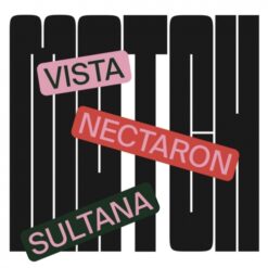 Zagovor Brewery Match: Nectaron, Sultana, Vista - IPA