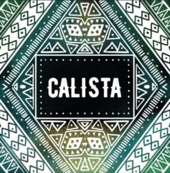 Zagovor Brewery Calista - IPA