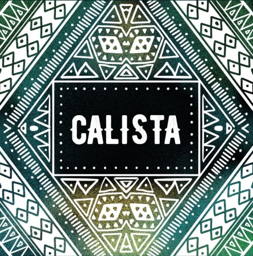 Zagovor Brewery Calista - IPA