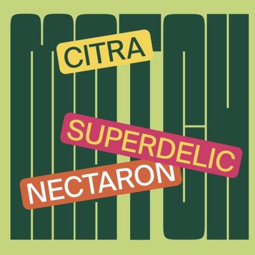 Zagovor Brewery MATCH: Superdelic, Nectaron, Citra - IPA