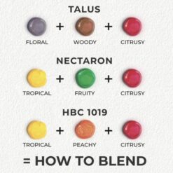 Zagovor Brewery How To Blend - IPA