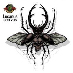 Hophead Brewery Lucanus Cervus  - IPA
